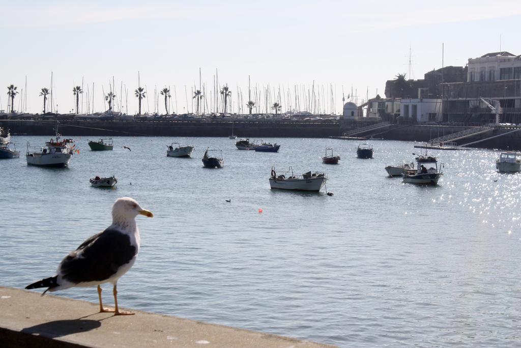Charming Cascais Apt. Δωμάτιο φωτογραφία